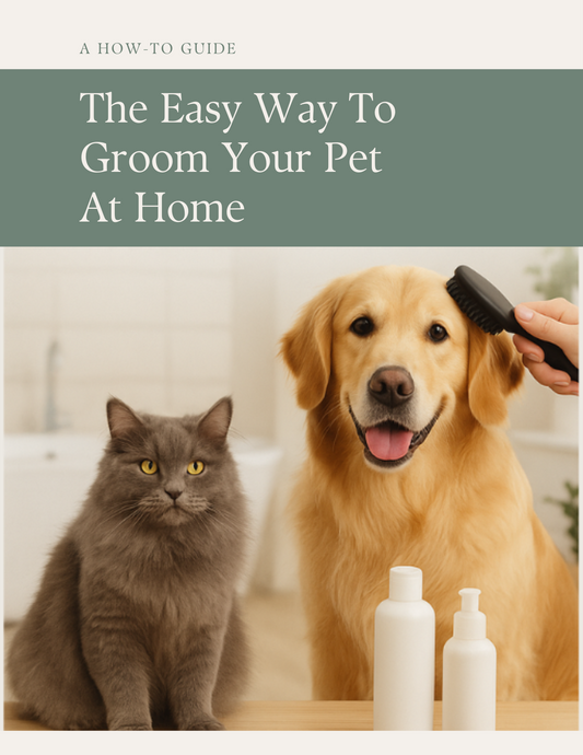 The Easy Way To Groom Your Pet At Home