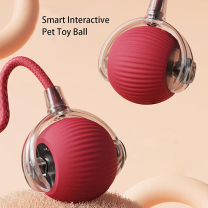 Smart Play Ball for Pets