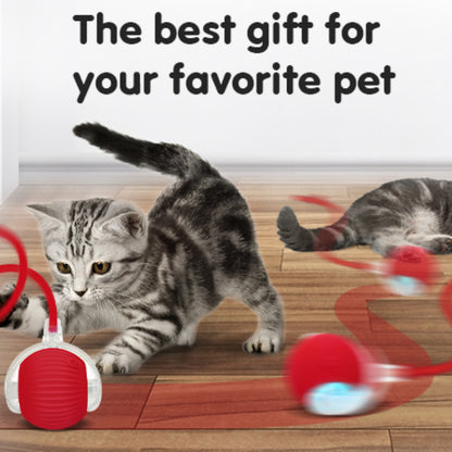 Smart Play Ball for Pets