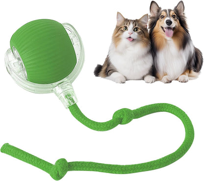 Smart Play Ball for Pets