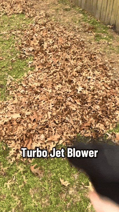 TurboLeaf Breeze Blower