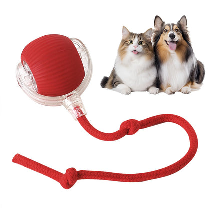 Smart Play Ball for Pets